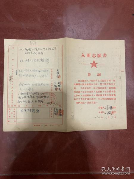 最新入團(tuán)志愿書，青年邁向未來的堅(jiān)定步伐與責(zé)任擔(dān)當(dāng)