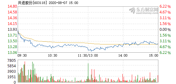 共進股份股票最新深度解析