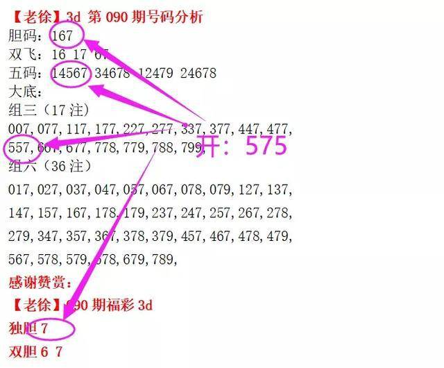 老徐說彩，最新趨勢深度解讀與最新動態