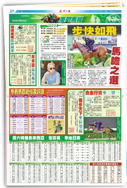 新澳門今晚開特馬開獎2024年11月｜實地解釋定義解答