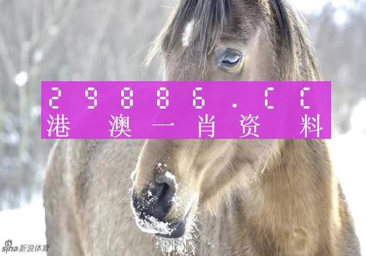 澳門(mén)一肖一碼100%期期精準(zhǔn)／98期｜最佳精選解釋落實(shí)