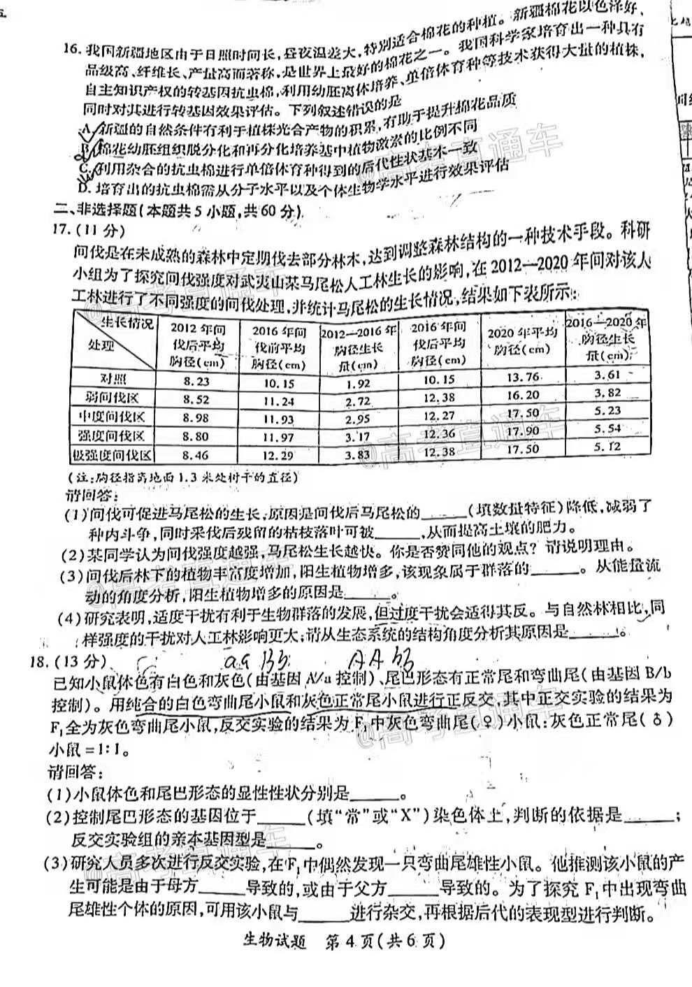 2024年澳門天天開好彩｜最新方案解答