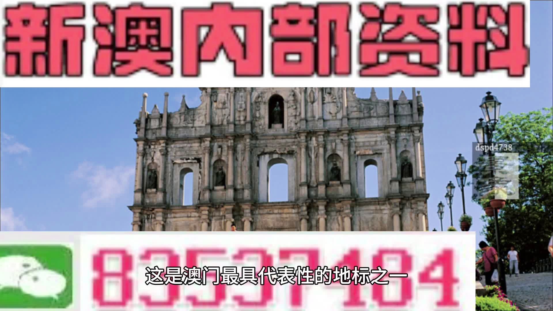 新澳門今晚精準(zhǔn)一肖,數(shù)據(jù)支持執(zhí)行方案_2D74.197