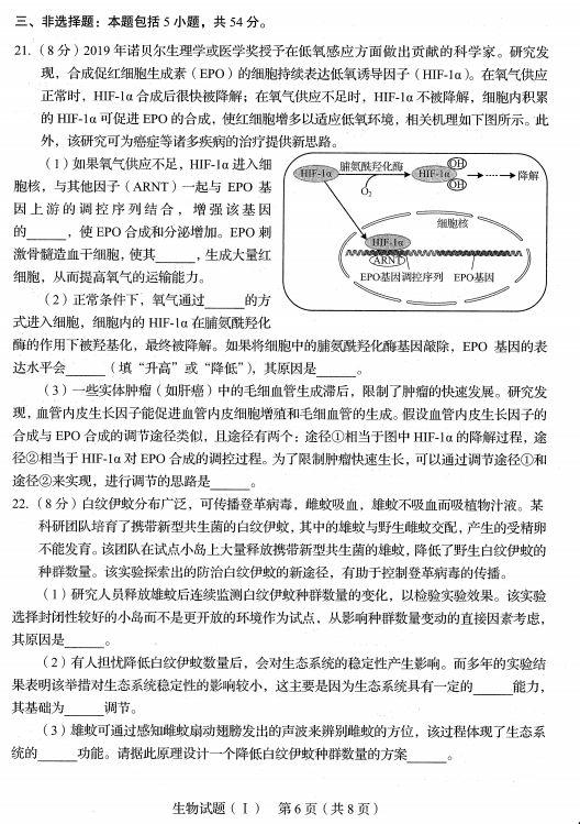 在線發布試卷，革新教育模式的新動力之源