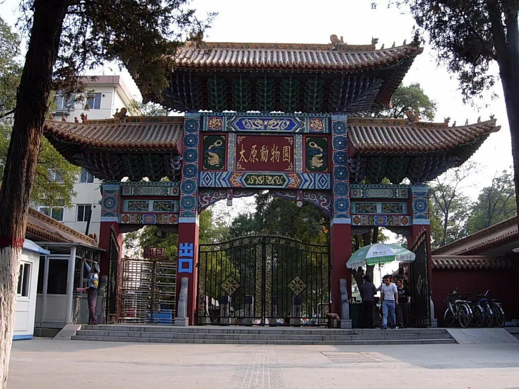 太原動物園最新動態(tài)，創(chuàng)新迎接生態(tài)新篇章