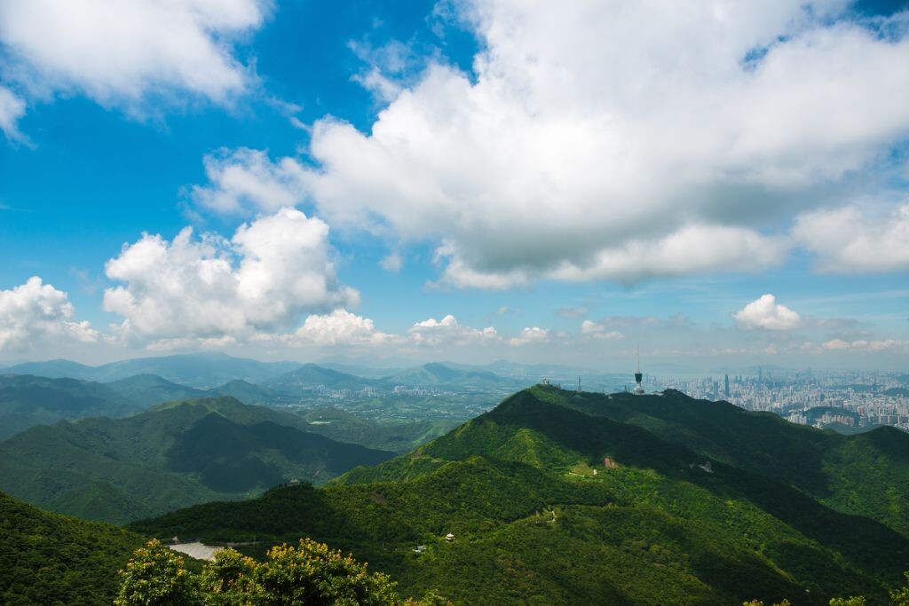 深圳梧桐山，自然與人文的交融之美最新動態展現