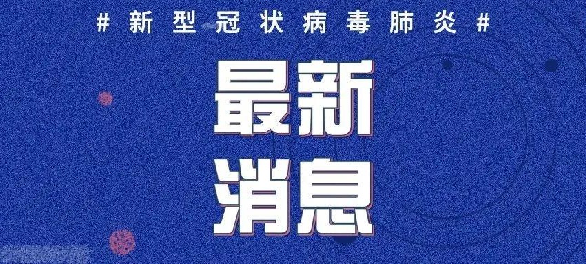 全球新冠肺炎最新報道，疫情動態及應對策略更新