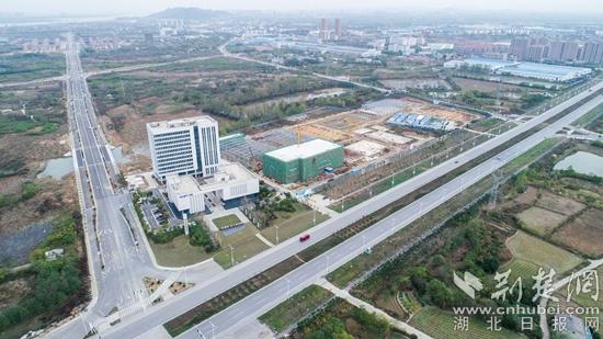 未來科技重塑居住體驗，最新住房發明引領居住革命