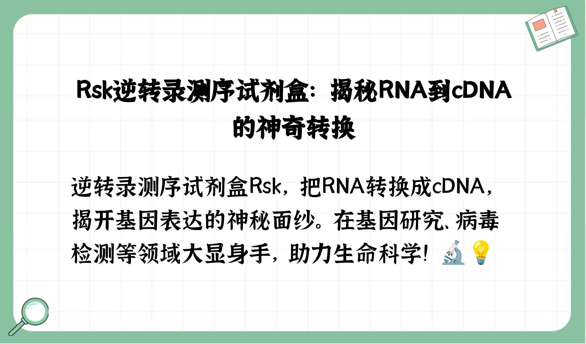 RSK最新動態全面解析，最新消息一覽無余