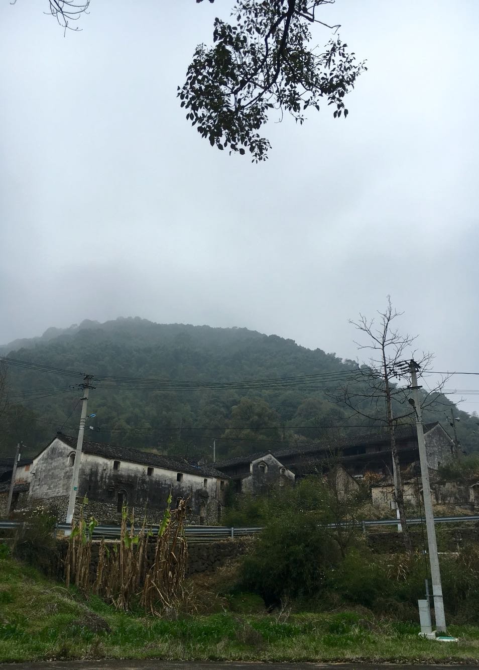 雜空村最新天氣預報概覽