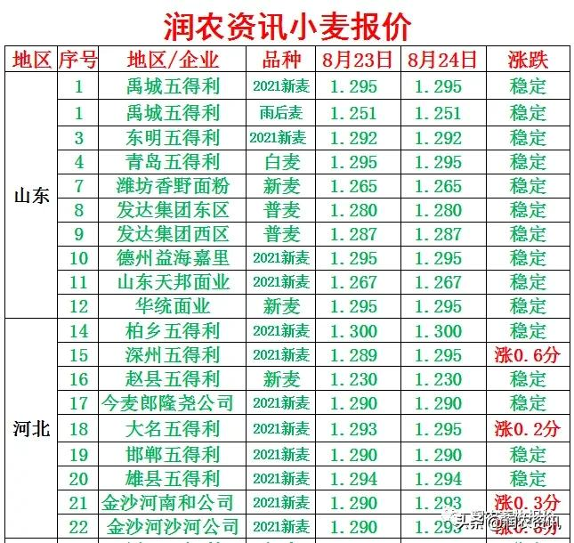 小麥最新行情價格表及分析概覽