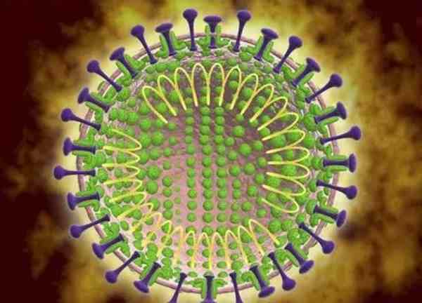 最新病毒的癥狀表現及特征概述
