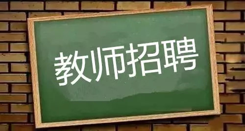 蘿崗區小學最新招聘信息概覽，最新職位與要求一網打盡