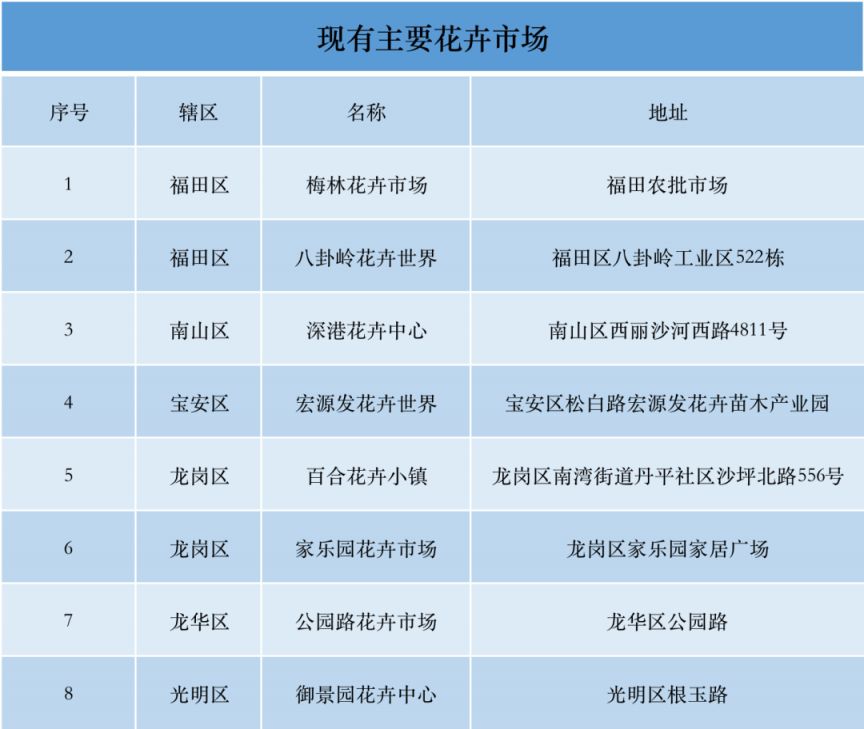 未來之城探索，揭秘地址2025最新之謎