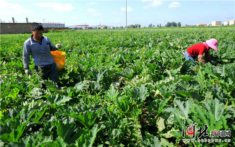 閃電河鄉(xiāng)最新新聞動態(tài)更新