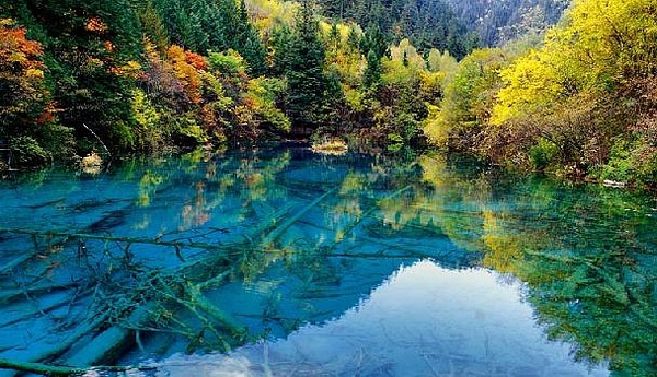 九寨溝最新旅游指南探索神秘仙境的魅力之旅