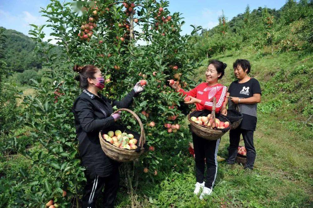 劉家堡子村委會(huì)最新領(lǐng)導(dǎo)團(tuán)隊(duì)及其展望，未來(lái)展望與領(lǐng)導(dǎo)風(fēng)采展示