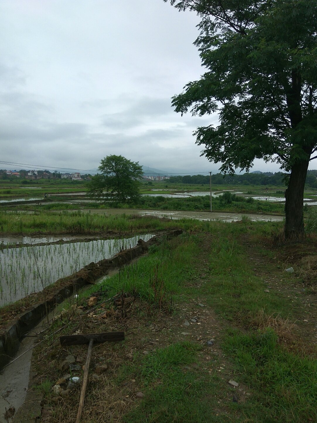 賓安鎮(zhèn)最新天氣預(yù)報(bào)更新通知