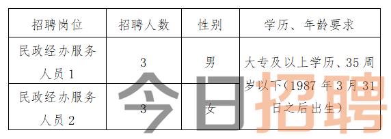 江川縣統計局最新招聘信息全解析