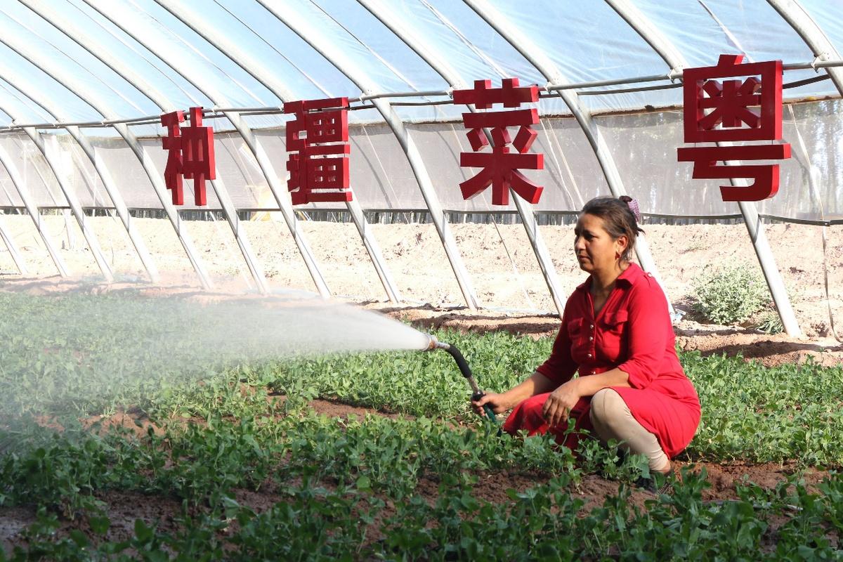 疏附縣住房和城鄉建設局最新招聘信息概覽，職位空缺與申請指南