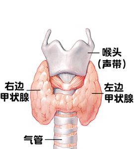 最新癌癥治療方法研究與應用進展