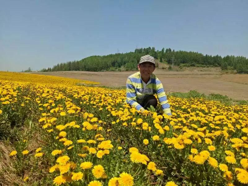 八寶最新項目，引領未來的創新力量啟航點